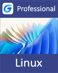 GstarCAD2026 Professional Subscription Network (Linux)